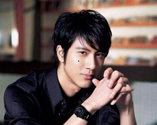 娱乐圈吃瓜王力宏是谁啊